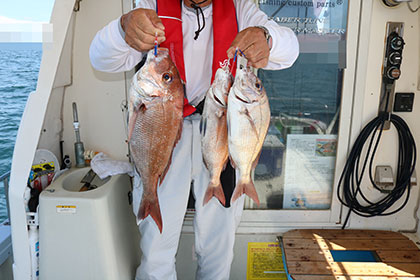 松本釣船２ 釣果