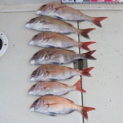 松本釣船２ 釣果