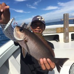 マタウマリンサービス 釣果