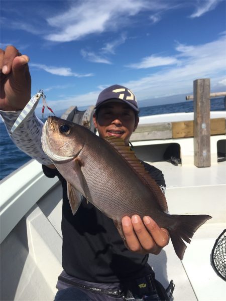 マタウマリンサービス 釣果