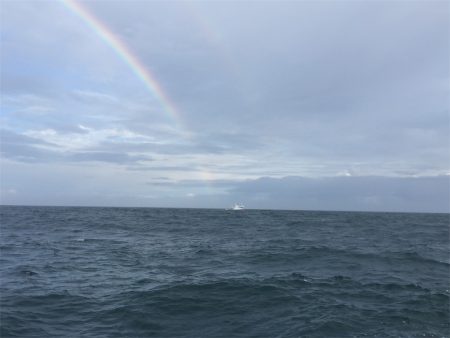 マタウマリンサービス 釣果