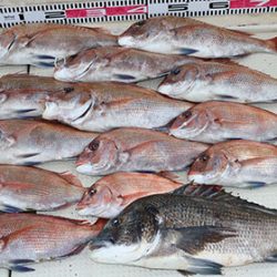 松本釣船２ 釣果