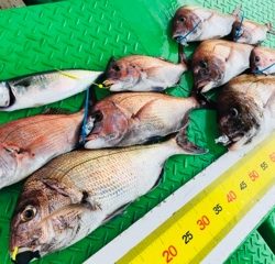 利弥丸（としやまる） 釣果