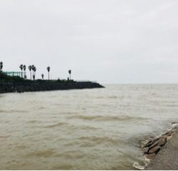 利弥丸（としやまる） 釣果