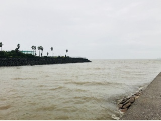 利弥丸（としやまる） 釣果