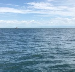 利弥丸（としやまる） 釣果