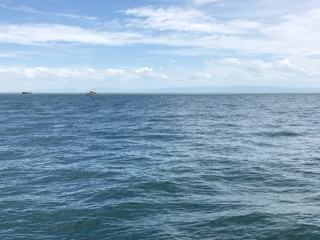 利弥丸（としやまる） 釣果