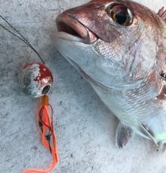 利弥丸（としやまる） 釣果