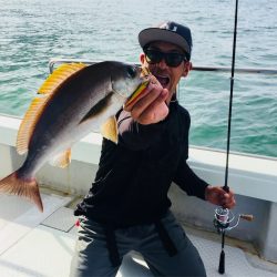 マタウマリンサービス 釣果