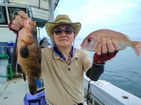 おおせき丸 釣果