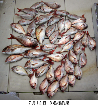 来温丸（らいおんまる） 釣果