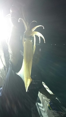 海龍丸(福岡) 釣果