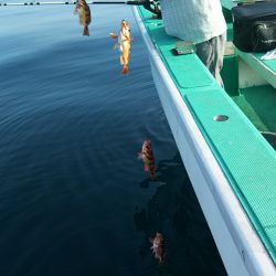 モンロー号 釣果