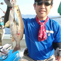 マタウマリンサービス 釣果