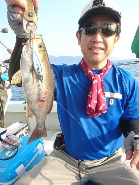 マタウマリンサービス 釣果