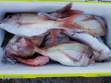 オーフリー 釣果