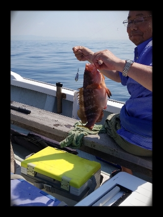 内浜丸 釣果