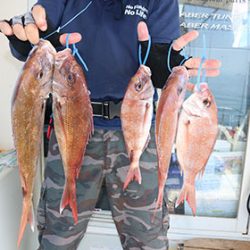 松本釣船２ 釣果