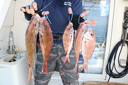 松本釣船２ 釣果