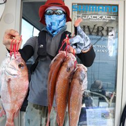 松本釣船２ 釣果