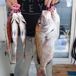 松本釣船２ 釣果