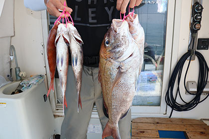 松本釣船２ 釣果