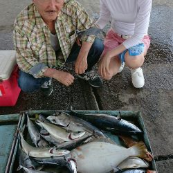 明神釣船 釣果