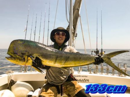 オーシャンマスター 釣果
