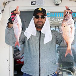 松本釣船２ 釣果