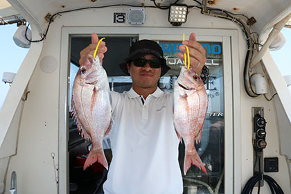 松本釣船２ 釣果