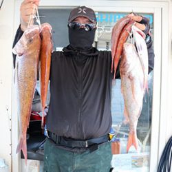 松本釣船２ 釣果