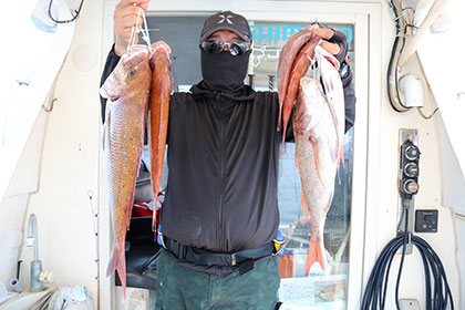 松本釣船２ 釣果