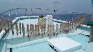 長栄丸(静岡) 釣果