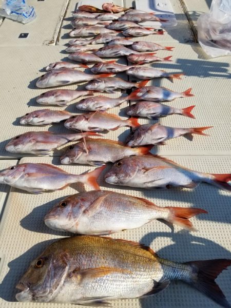 オーフリー 釣果