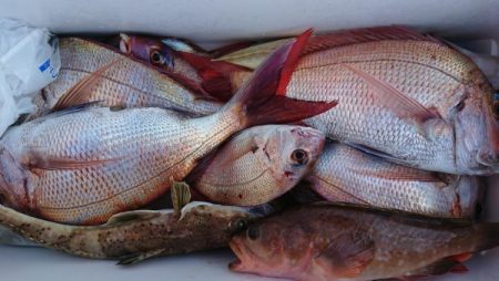 オーフリー 釣果