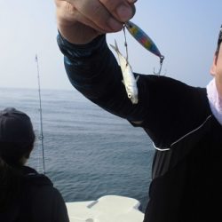 ルアー船マヒマヒ 釣果