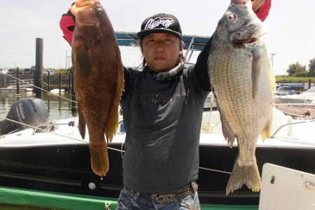 ルアー船マヒマヒ 釣果