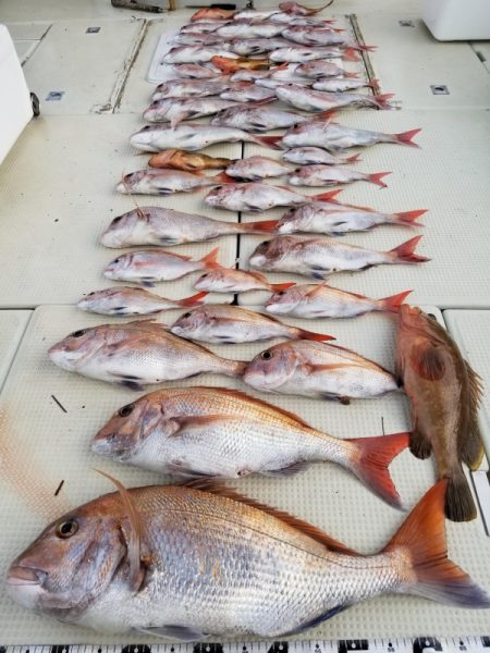 オーフリー 釣果