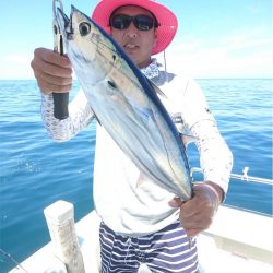 マタウマリンサービス 釣果