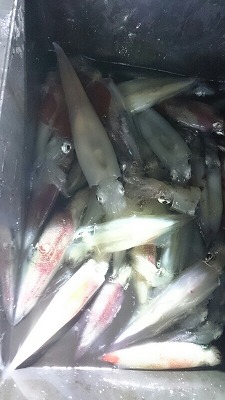 海龍丸(福岡) 釣果