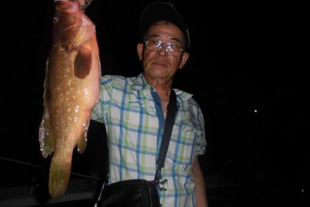 ルアー船マヒマヒ 釣果