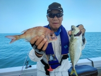 おおせき丸 釣果