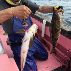 第八平成丸 釣果