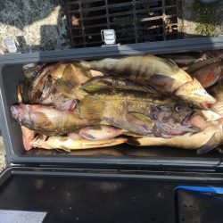 第八平成丸 釣果