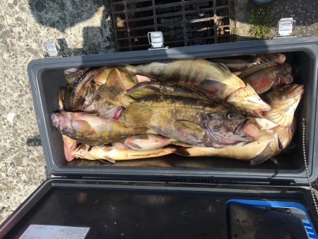 第八平成丸 釣果