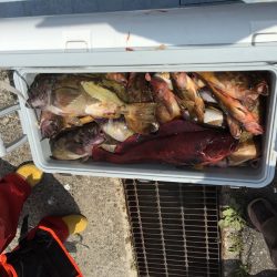 第八平成丸 釣果