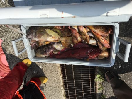 第八平成丸 釣果