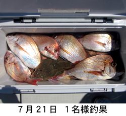 来温丸（らいおんまる） 釣果