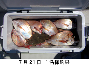 来温丸（らいおんまる） 釣果