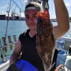 オーフリー 釣果